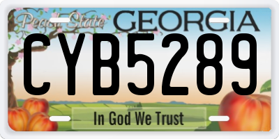 GA license plate CYB5289
