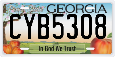 GA license plate CYB5308