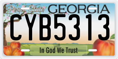 GA license plate CYB5313