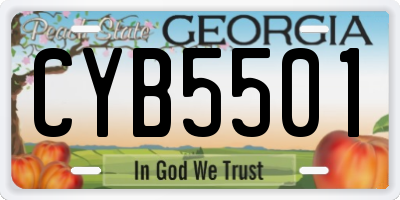 GA license plate CYB5501