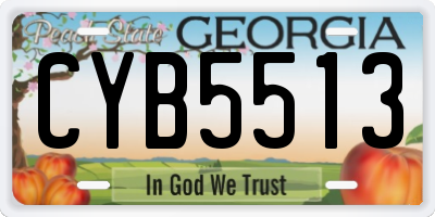 GA license plate CYB5513