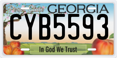 GA license plate CYB5593