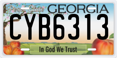 GA license plate CYB6313