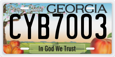 GA license plate CYB7003