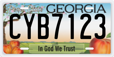 GA license plate CYB7123