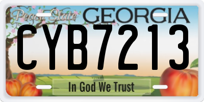 GA license plate CYB7213