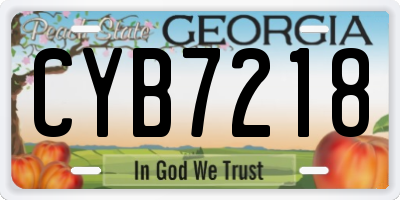 GA license plate CYB7218