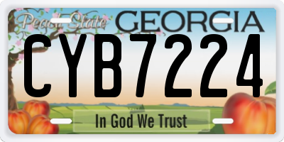 GA license plate CYB7224