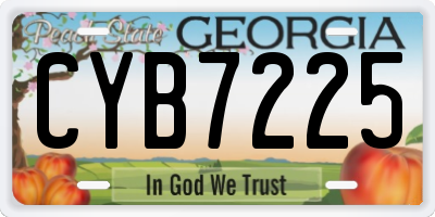 GA license plate CYB7225