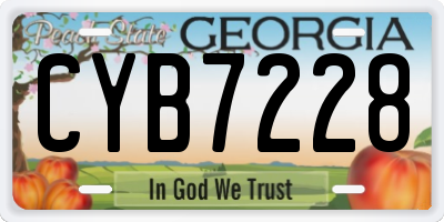 GA license plate CYB7228