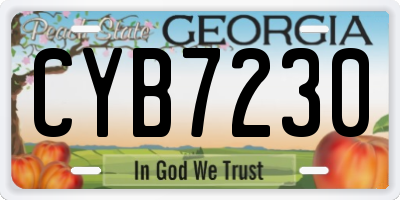 GA license plate CYB7230