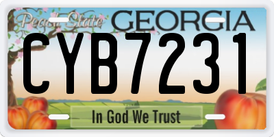 GA license plate CYB7231