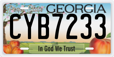 GA license plate CYB7233