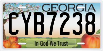 GA license plate CYB7238