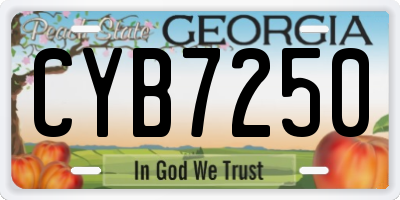 GA license plate CYB7250