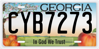 GA license plate CYB7273