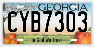 GA license plate CYB7303