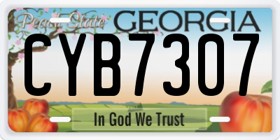 GA license plate CYB7307
