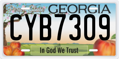 GA license plate CYB7309