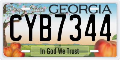 GA license plate CYB7344