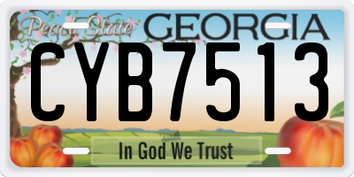 GA license plate CYB7513