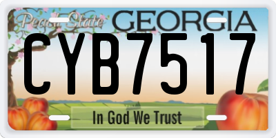 GA license plate CYB7517