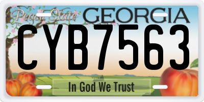 GA license plate CYB7563