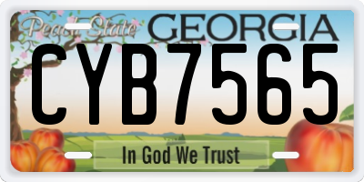 GA license plate CYB7565