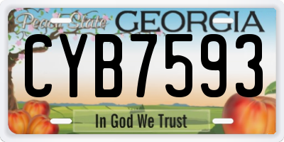 GA license plate CYB7593