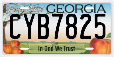 GA license plate CYB7825