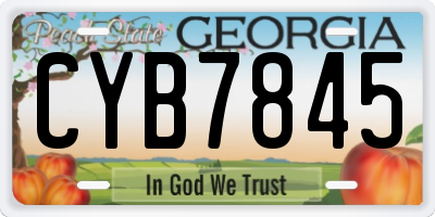 GA license plate CYB7845