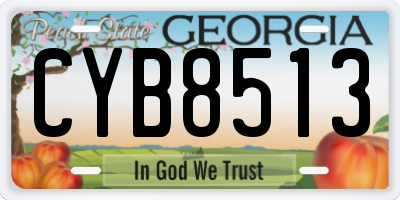 GA license plate CYB8513
