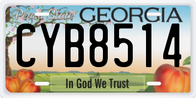 GA license plate CYB8514