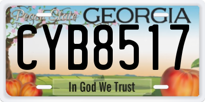 GA license plate CYB8517