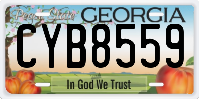 GA license plate CYB8559