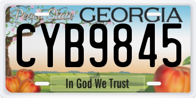 GA license plate CYB9845