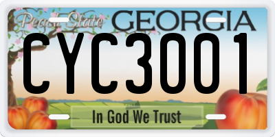 GA license plate CYC3001
