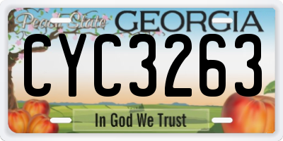 GA license plate CYC3263