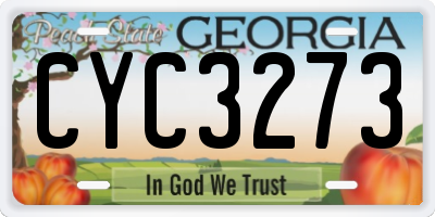 GA license plate CYC3273