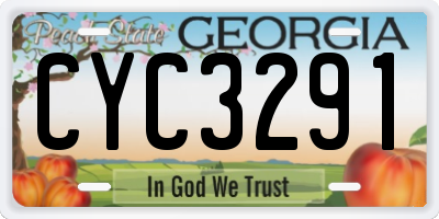 GA license plate CYC3291