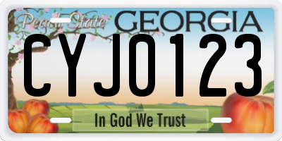 GA license plate CYJ0123