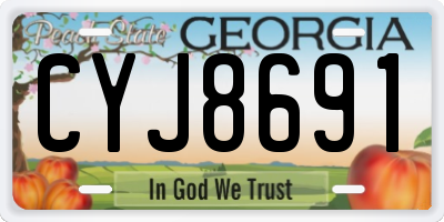 GA license plate CYJ8691