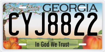 GA license plate CYJ8822