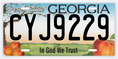 GA license plate CYJ9229