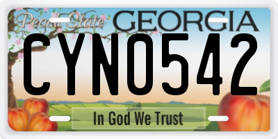 GA license plate CYN0542