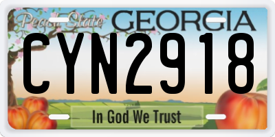 GA license plate CYN2918