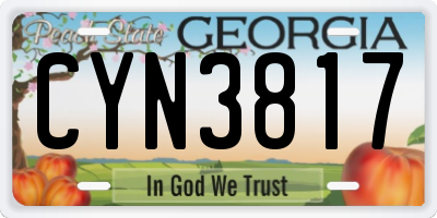 GA license plate CYN3817