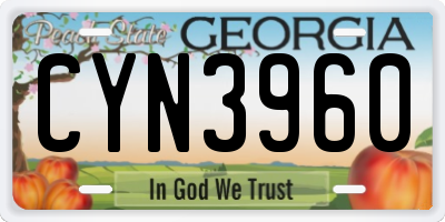 GA license plate CYN3960