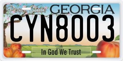 GA license plate CYN8003