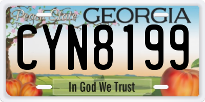 GA license plate CYN8199